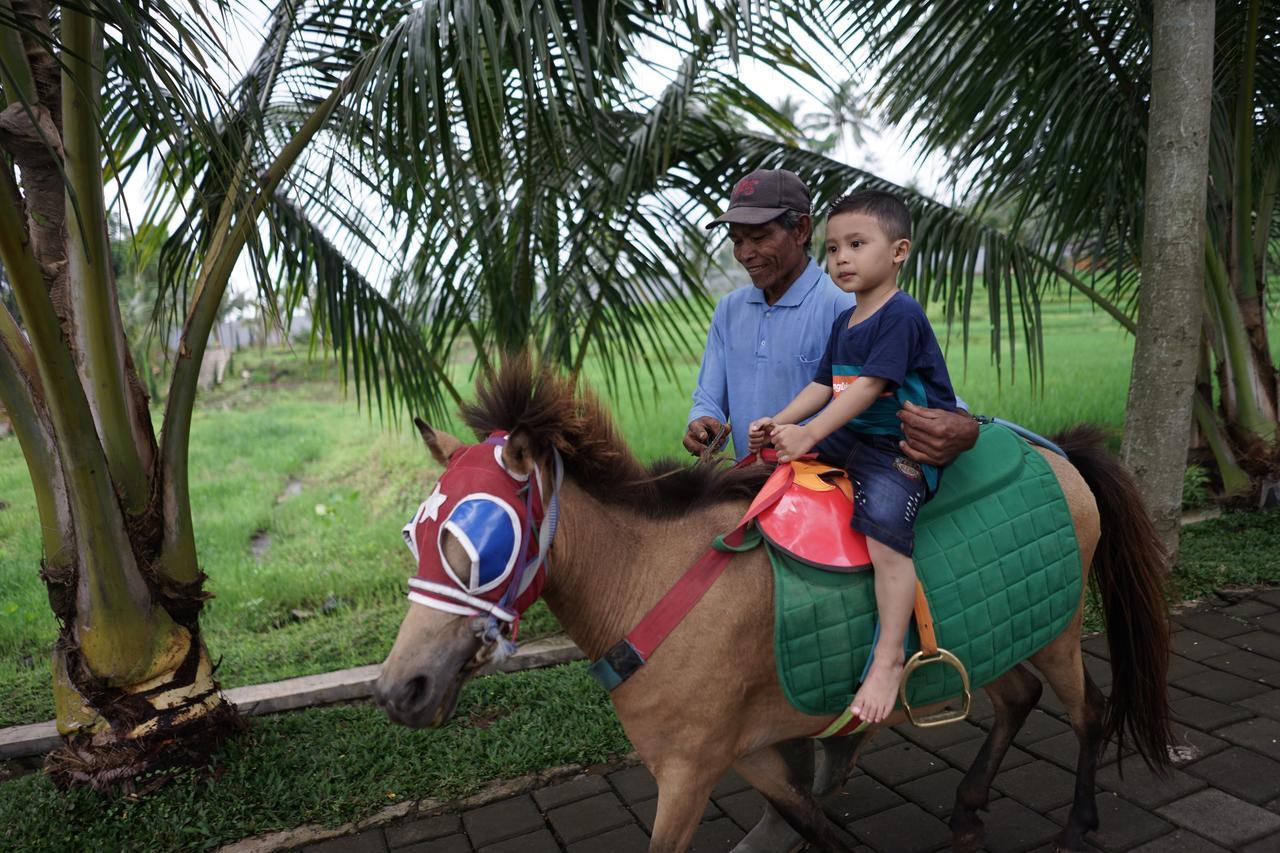 Grand Harvest Resort & Villas Banyuwangi  Exterior photo